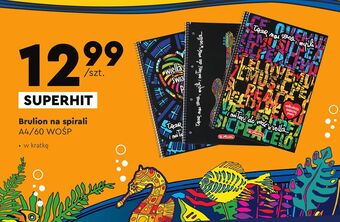 Biedronka Brulion na spirali wośp a4/60k herlitz oferta