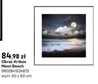 Castorama Obraz Artbox Mooon Beach wym. 50x50cm oferta