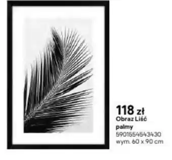 Castorama Obraz Liść palmy wym. 60x90cm oferta