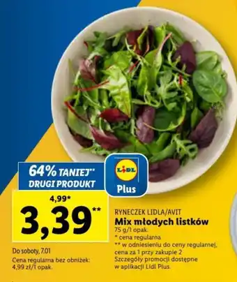 Lidl Mix młodych listków 75g oferta