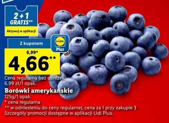 Lidl Borówki amerykańskie 125g oferta
