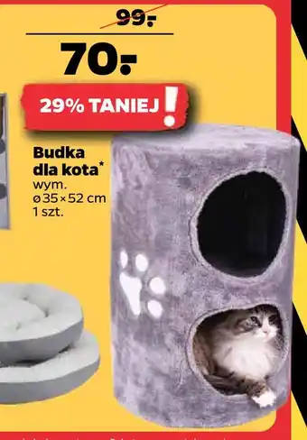 Netto Budka dla kota oferta