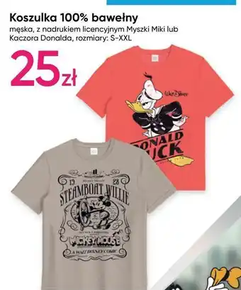 Pepco Koszulka damska rozm. s-xxl kaczor donald oferta