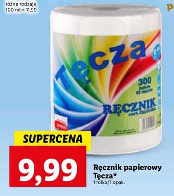 Lidl Ręcznik papierowy 300 listków tęcza oferta