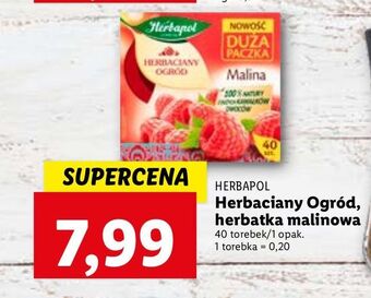 Lidl Herbata malina herbapol herbaciany ogród oferta