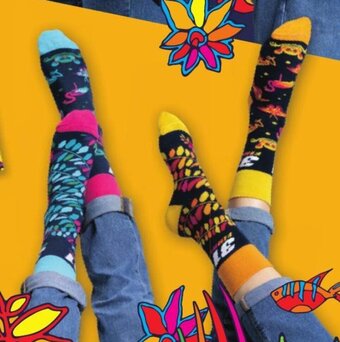 Lidl Skarpetki 35-45 2 wzory oferta