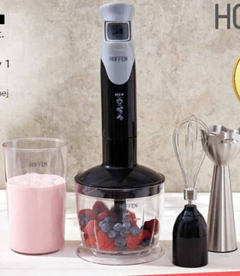 Biedronka Blender hoffen oferta