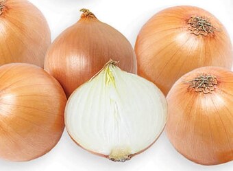 Cebula