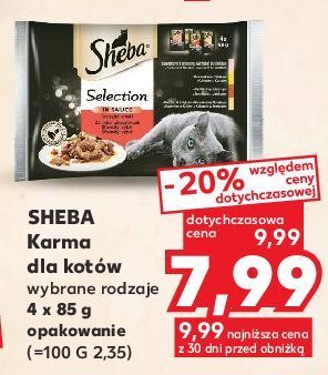 Kaufland Karma dla kota z wołowiną w sosie sheba selection oferta