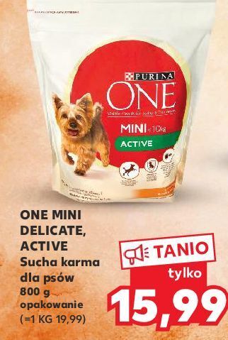 Kaufland Karma dla psa active mini kurczak i ryż purina one oferta