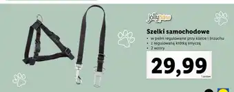 Lidl Szelki samochodowe jollypaw oferta