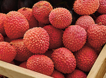 Biedronka Liczi oferta