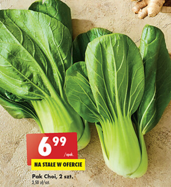 Biedronka Pak choi oferta