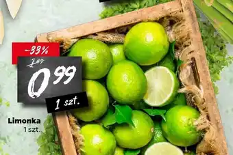 Netto Limonka 1sztuka oferta