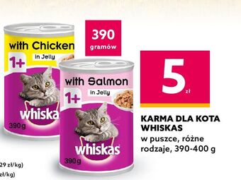 Dealz Karma dla kota z łososiem whiskas oferta