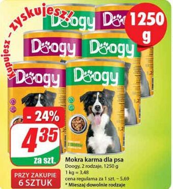 Dino Karma dla psa z wołowiną doogy oferta