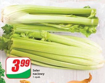 Dino Seler naciowy oferta