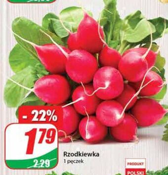 Dino Rzodkiewka oferta
