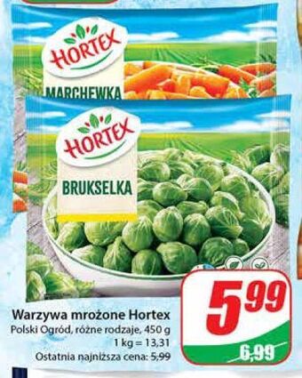 Dino Marchewka mini hortex oferta