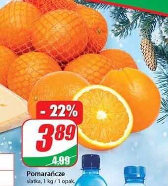 Dino Pomarańcze oferta