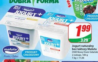 Dino Jogurt naturalny pełnomleczny bez laktozy maluta oferta