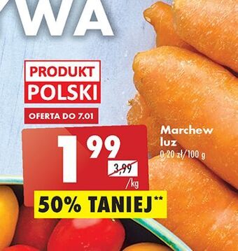 Biedronka Marchewka oferta