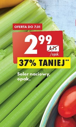 Biedronka Seler naciowy oferta