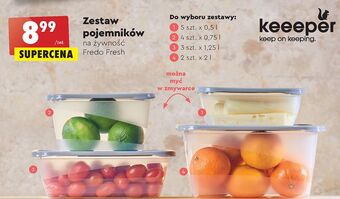Biedronka Pojemniki fredo fresh 2 l keeeper oferta