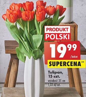 Biedronka Tulipany oferta