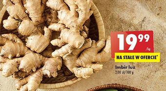 Biedronka Imbir oferta