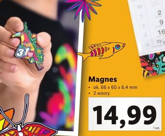 Lidl Magnes wośp oferta