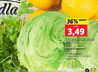 Lidl Sałata lodowa oferta