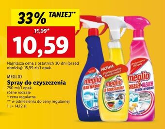 Lidl Spray do mycia łazienek meglio oferta