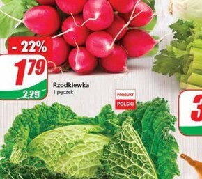Dino Rzodkiewki oferta