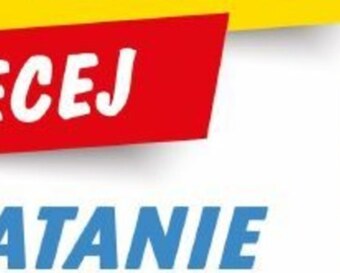 Lewiatan Karma dla psa łapa oferta