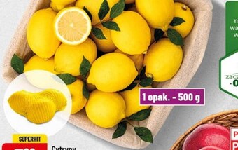 Polomarket Cytryna oferta