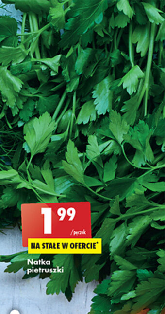 Biedronka Natka pietruszki oferta