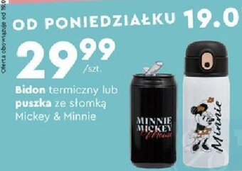 Biedronka Bidon termiczny lub puszka ze słomką oferta