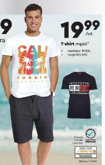 Biedronka T-shirt męski oferta