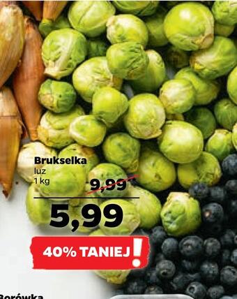 Netto Brukselka oferta
