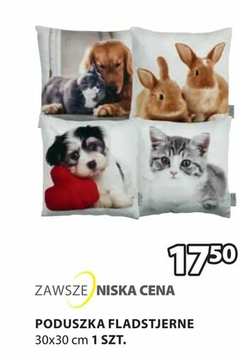 JYSK Poduszka fladstjerne oferta