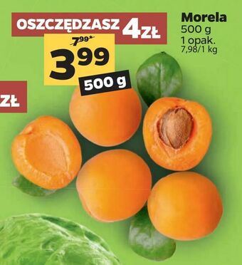 Netto Morela oferta