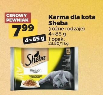 Netto Karma dla kota Sheba oferta