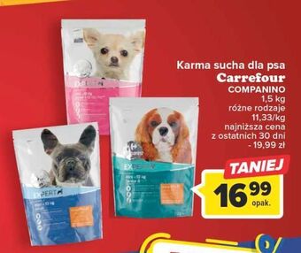 Carrefour Karma dla psa mini senior carrefour companino oferta