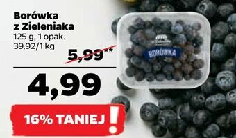 Netto Borówki z zieleniaka netto oferta