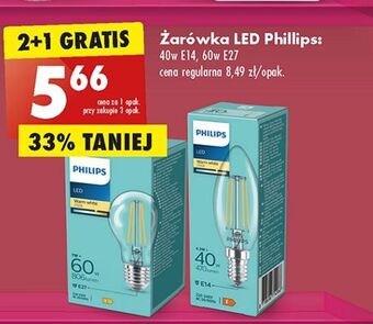 Biedronka Żarówka świeczka 40 w e14 philips oferta