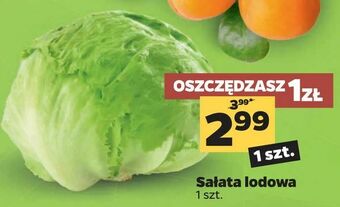 Netto Sałata lodowa oferta