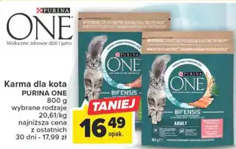 Carrefour Purina One Karma dla kota 800g, wybrane rodzaje oferta