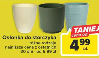 Carrefour Osłonka do storczyka oferta