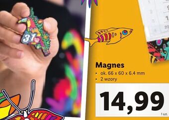 Lidl Magnes wośp oferta